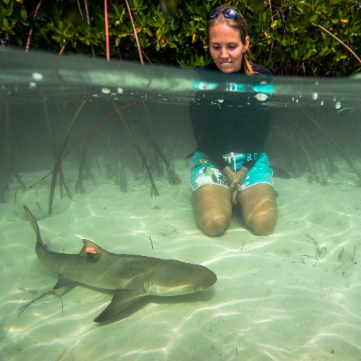 Postdoctoral Fellow at Florida Atlantic University’s Harbor Branch Oceanographic Institute. Quantitative ecologist with expertise in biologging/biotelemetry