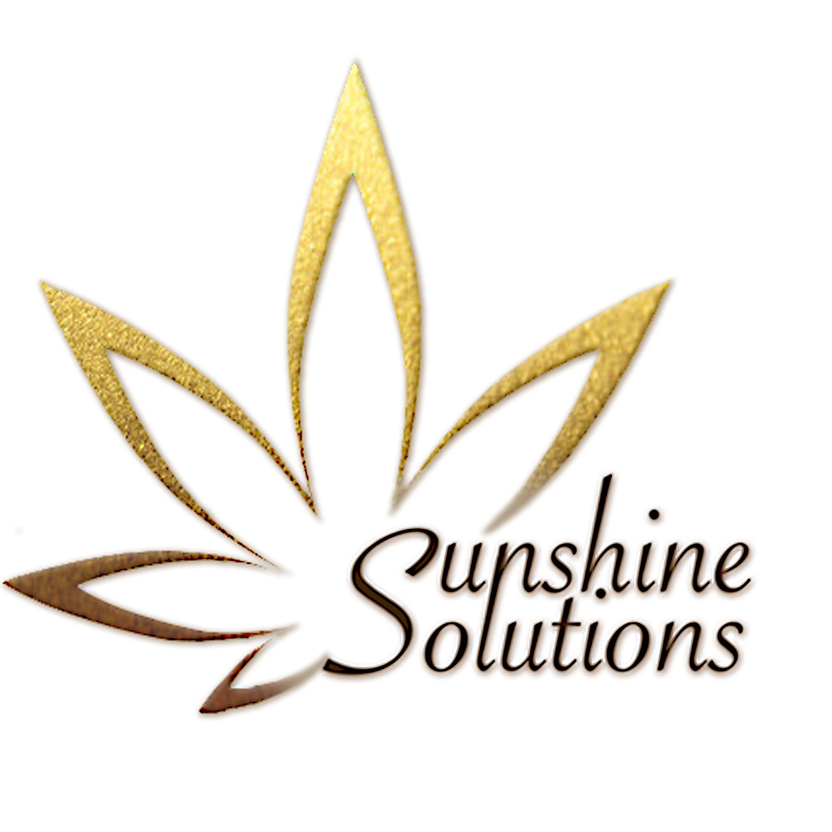 Safe, innovative products - Impeccable service -
Promoting charity -
Sunshine Solutions, LLC. is a disabled Veteran owned business.