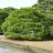 特務参謀㌠のアイコン