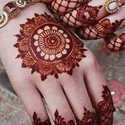 Henna Mehndi Powder Manufacturer Suppliers and Exporter!