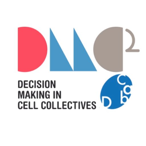 Research updates in Gene Regulation and Morphogenesis María de Maeztu Unit of Excellence (July2017-June 2021) studies Decision Making in Cell Collectives @ CABD