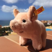 Wilbur The Piglet (@pigletwilbur) 's Twitter Profile