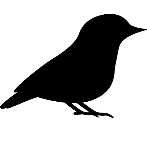 EnSonNeZaman's profile picture. #EnSonNeZaman Gökyüzüne Baktınız? En Son Ne Zaman Bir Leylek Gördünüz? Şehir Ve Serçe Destek Hesabı