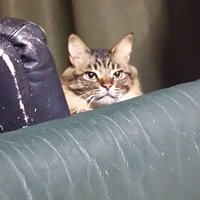 福永 太郎( Taro Fukunaga) (@t_taro55) Twitter profile photo