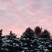 Dan Novak (@coachdannovak) 's Twitter Profile Photo Dan Novak (@coachdannovak) 's Twitter Profile Photo