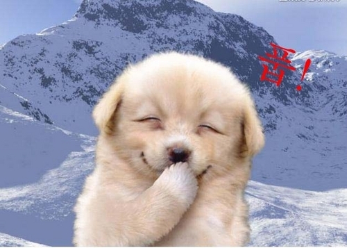 *^^*
