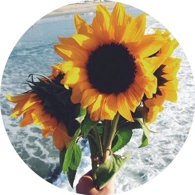 retweet to send sunflowers to your favorite people 🌻☀️