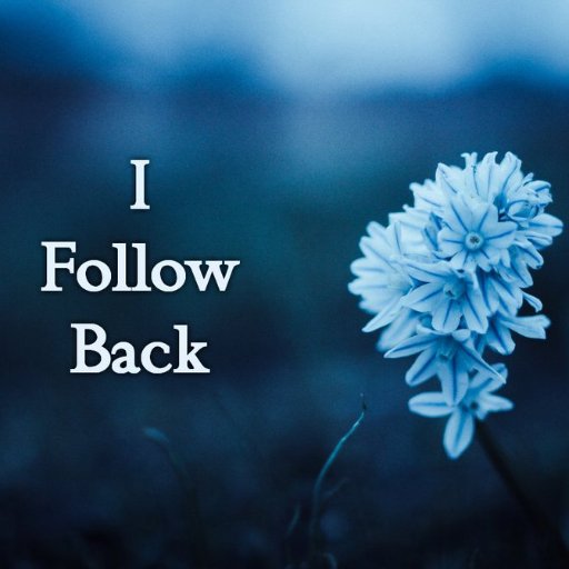 @ETHERIUM195💫 @afridi194💫 FOLLOW ME ⭐️ TURN MY NOTIFICATION ON TO GAIN FOLLOWERS FAST ⭐️⚱️⭐️⚱️⭐️⚱️⭐️⚱️⭐️⚱️⭐️
