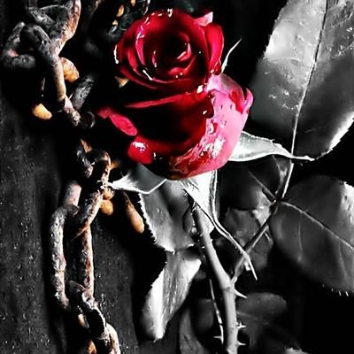 Leticia64589707's profile picture. 