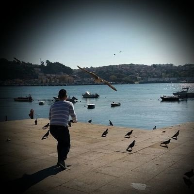 PatrickMichael_'s profile picture. Love my life,my family and my friends...
Portista com coração 💙
