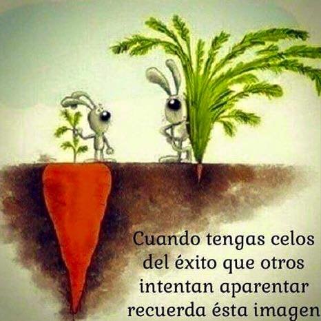 Ciudadano, un poco shute, poco común y menos corriente, interesado en responsabilidad ciudadana, proyectos de nación,  desarrollo y crecimiento personal 🇬🇹