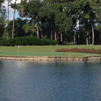 TheAbsentCaddie's profile picture. 