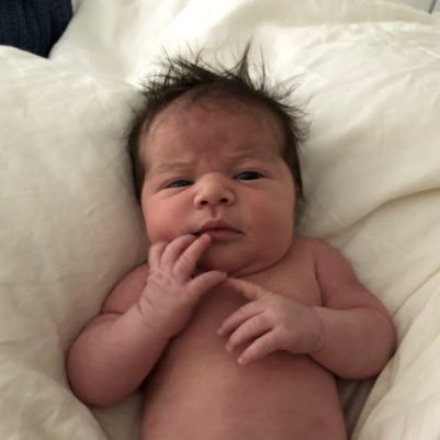Harrison Hoffman Profile