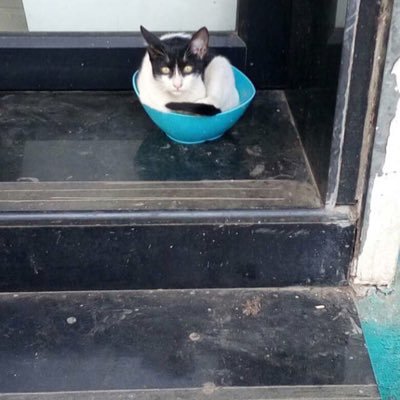 worldci46846791's profile picture. a citizen who cares