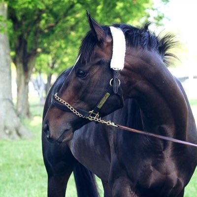 skylla__'s profile picture. McCraken Forever ♥️