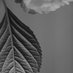 Tim Corbett (@studiopono) Twitter profile photo Tim Corbett (@studiopono) Twitter profile photo