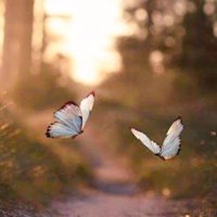 وليف الروح ♥️ (@roo7i_t7bak88) Twitter profile photo