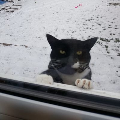 nstewart1172's profile picture. 