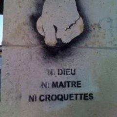 Cyril_BUMA's profile picture. Bibliothèques - Cinéma - Musique classique