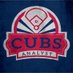 Cubs Analyst (@CubsAnalyst) Twitter profile photo