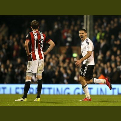 Fulham fc till the end !!!!!