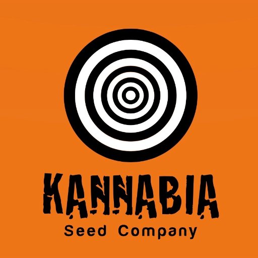 Colaborador y #CommunityManager en Kannabia @KannabiaSeeds / @IntKannabia
#KannabiaSeeds 🌱
Info #seeds aquí ➡️ https://t.co/6VKpehH9Kb