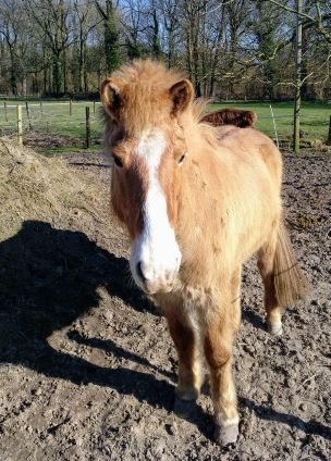 EvaBarth3's profile picture. Wenn das Leben Dir eine Zitrone gibt, frag nach Salz und Tequila 😎