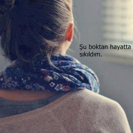 terqe009's profile picture. 