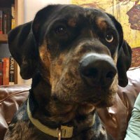 Cam Hosie (@instycam) 's Twitter Profile
