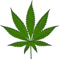 The CBD Circle (@thecbdcircle) 's Twitter Profile