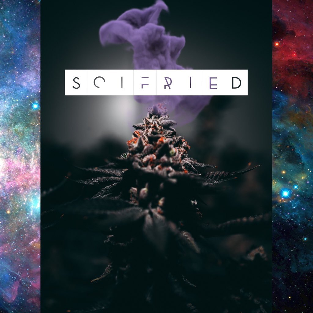 Scientific Thoughts & Debate of the HIGHest order 🌳🥦🔬👽-