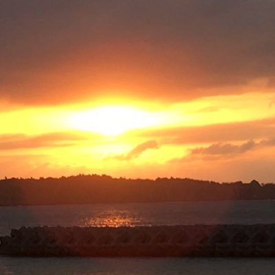 and99807003's profile picture. ETS手術経験あり。当事者会（ETS経験者）無言フォローさせていただいてます🙇‍♀️応援の意味でいいね多めです  #ETS #当事者会 #代償性発汗 #汗対策