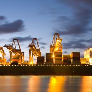 SalesadminTraco's profile picture. 