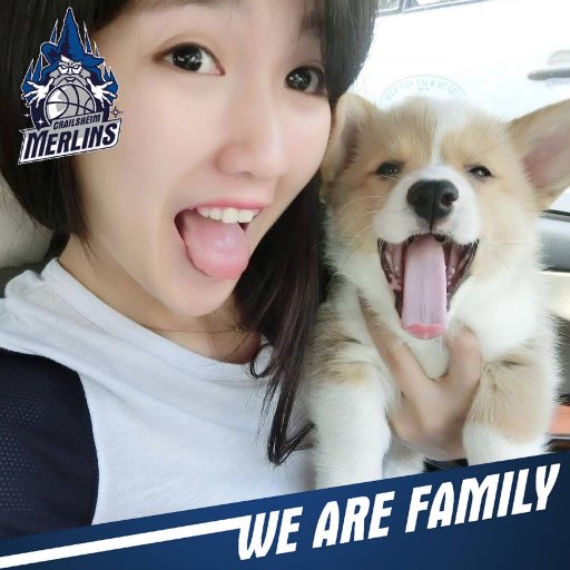 yaolai95's profile picture. Take the moment and make it perfect