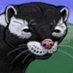 Stregawoozle (@stregawoozle) Twitter profile photo Stregawoozle (@stregawoozle) Twitter profile photo
