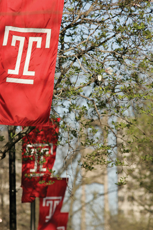 templemed Profile
