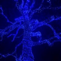 kathrynfowler (@chemshift1) 's Twitter Profile