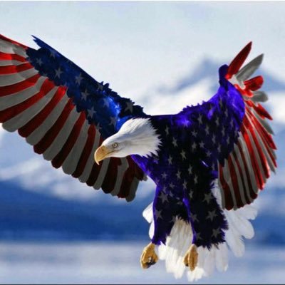 hperrine1's profile picture. Lifelong American Patriot. Digital Warrior. Retired Business Exec. Conservative, common sense applied. I follow back! No DM’s, if you do you get blocked!