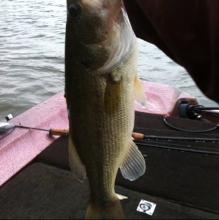 kujohammel's profile picture. 