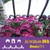 Rosa Montiel (@rosamontiel18) Twitter profile photo Rosa Montiel (@rosamontiel18) Twitter profile photo
