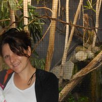 Aude (@adam_aude) 's Twitter Profile
