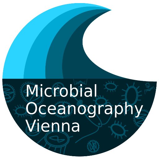 Our main focus lies on microbial oceanography, particularly the composition of microbial communities in relation to the transformation of organic matter.