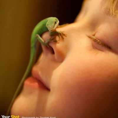 LinE_PCa's profile picture. 