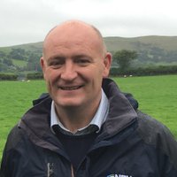 John Davies (@johnpentre) 's Twitter Profile