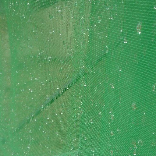 aguadelaniebla's profile picture. The mist, a water resource that is not being used.
Can you imagine getting water sustainably?
It's possible!!! no need for energy!!!