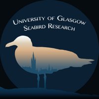 University of Glasgow Seabird Research (@glasgowseabirds) 's Twitter Profile