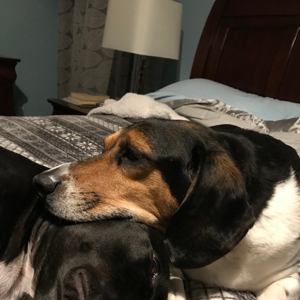 JohnPer30768135's profile picture. 