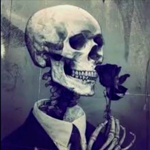 xbtdeus's profile picture. Shitcoin flipper