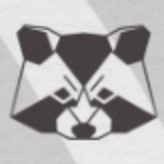 hyperraccoondev's profile picture. 
