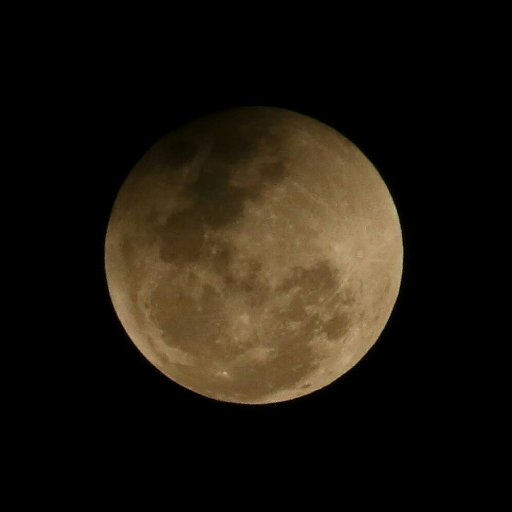 bhush1983's profile picture. photograhy travel